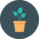 decoration,furniture and household,pot,plant,plant pot,flower pot